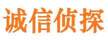 盐池市调查公司